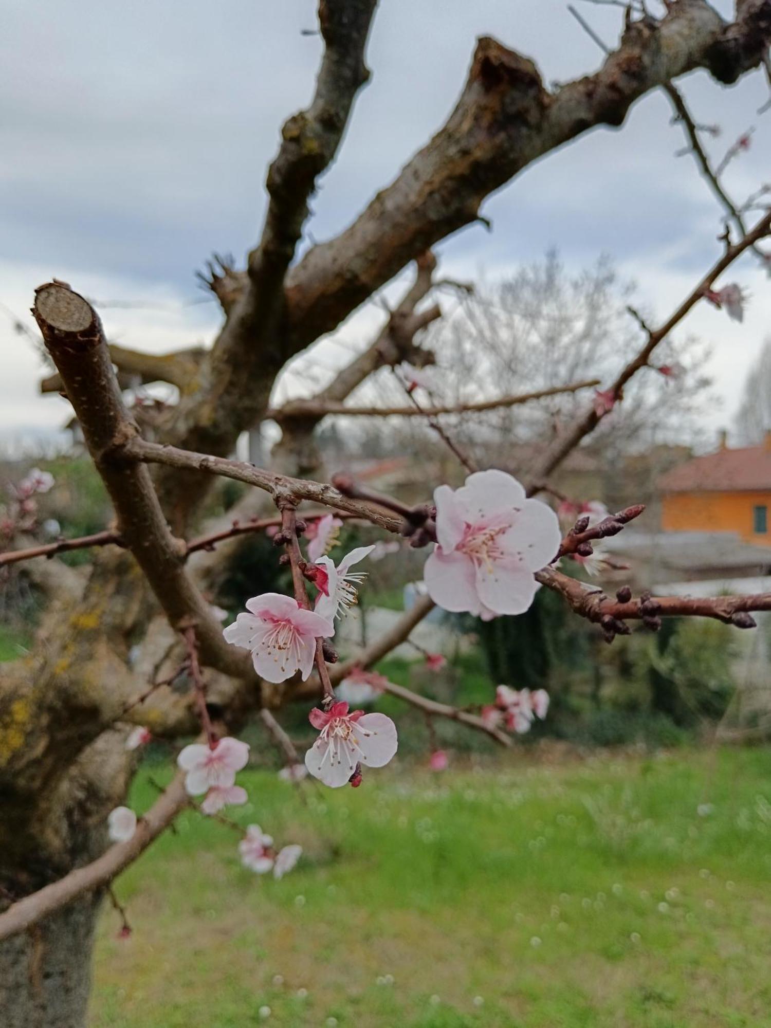 Il Giramondo Montelabbate Dış mekan fotoğraf