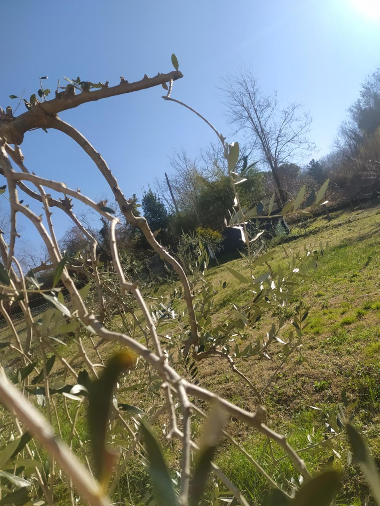 Il Giramondo Montelabbate Dış mekan fotoğraf