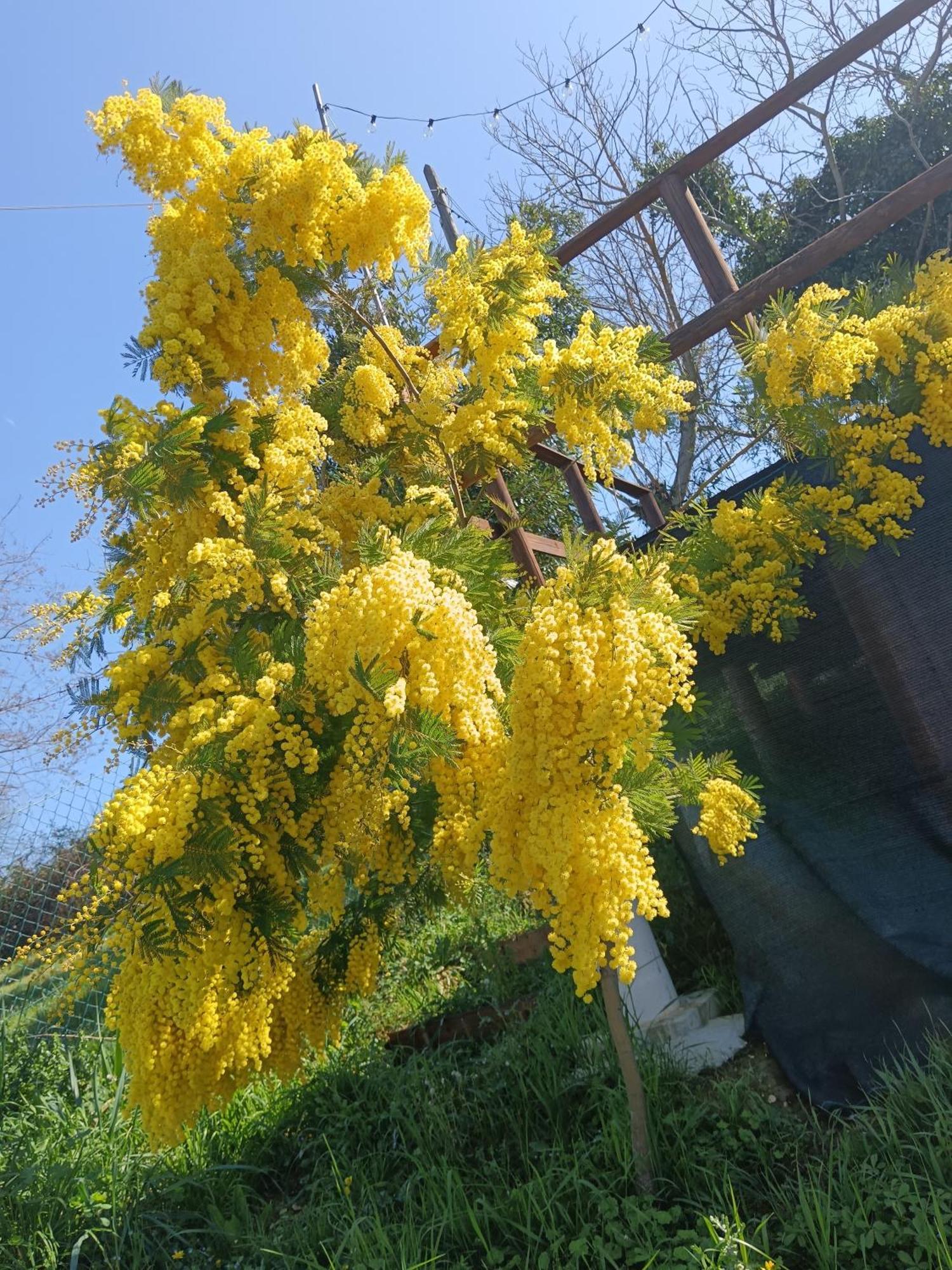 Il Giramondo Montelabbate Dış mekan fotoğraf